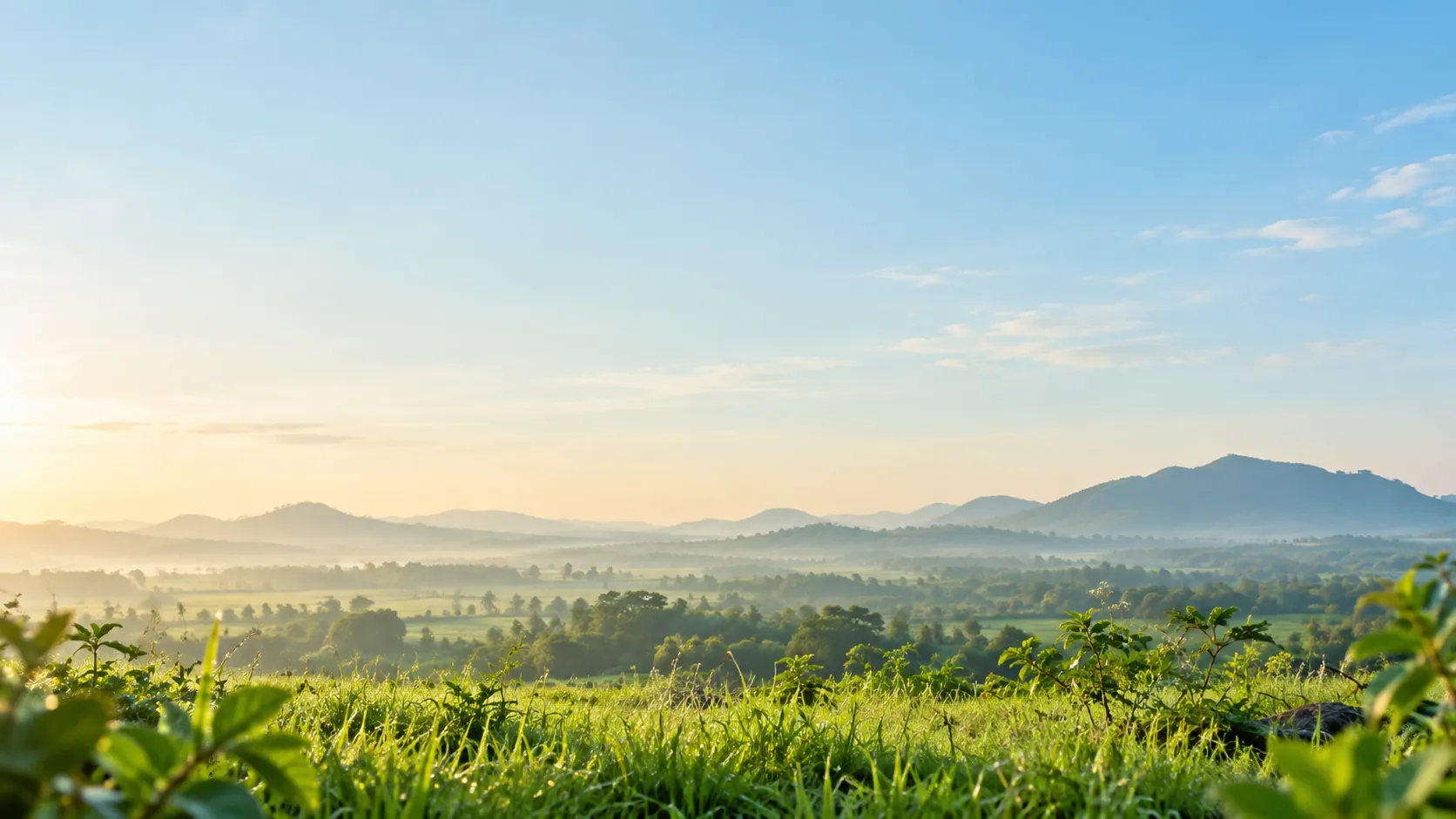 Soft morning sky over a green field